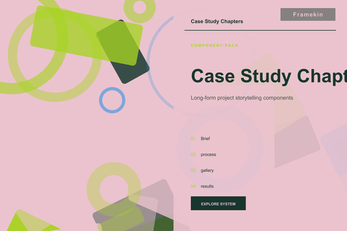 Case Study Chapters website preview
